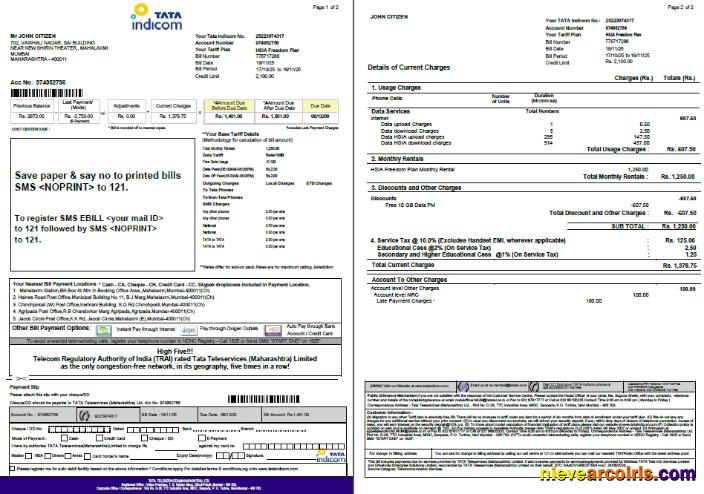 India Tata Indicom utility bill, 2 pages